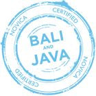 Sky Blue Batik Sleeveless Rayon Jumpsuit