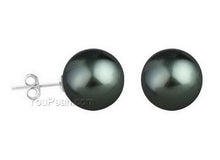 12mm Round Shell Pearl Stud Earrings in White or Black